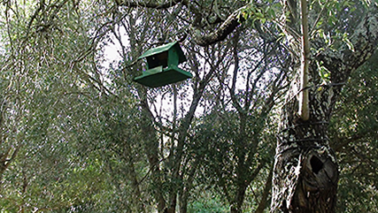 Il Parco di Villa Boldetti, Iglesias SU